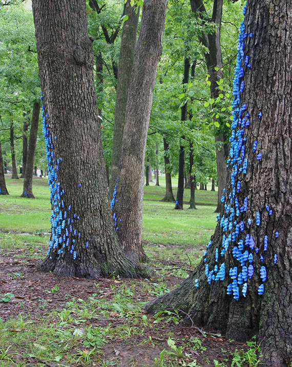 Pretty Little Blight, Jefferson City, Missouri, Installation