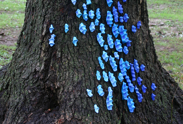 Pretty Little Blight, Jefferson City, Missouri, Installation