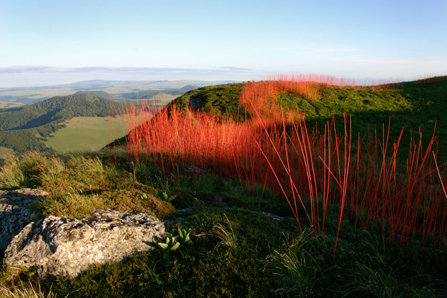 Flow Line, Horizons Rencontres 2007, Sancy, France