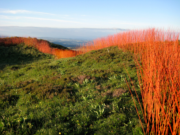 Flow Line, Horizons Rencontres 2007, Sancy, France